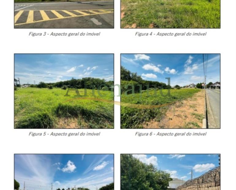 Imagem 8