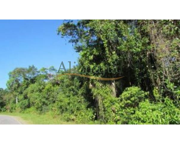 Foto de Parte da Fazenda Perequê situada no Guarujá/SP
