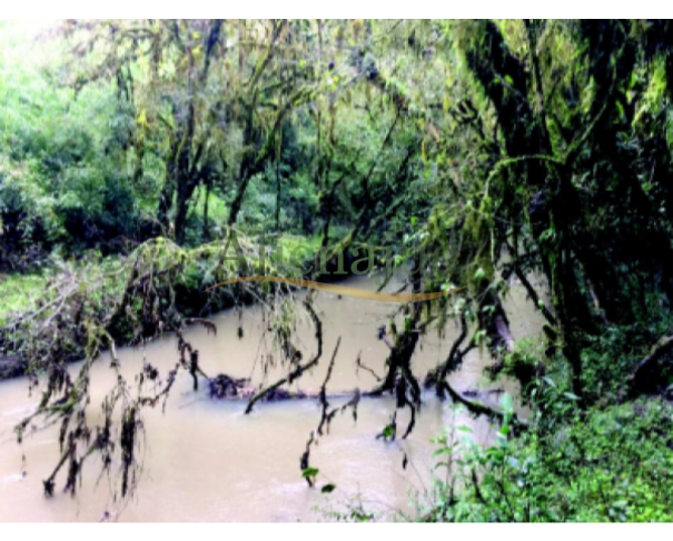 Foto de 	Terreno rural c/ área superficial de 462.390,19m² situada em Otacílio Costa/SC