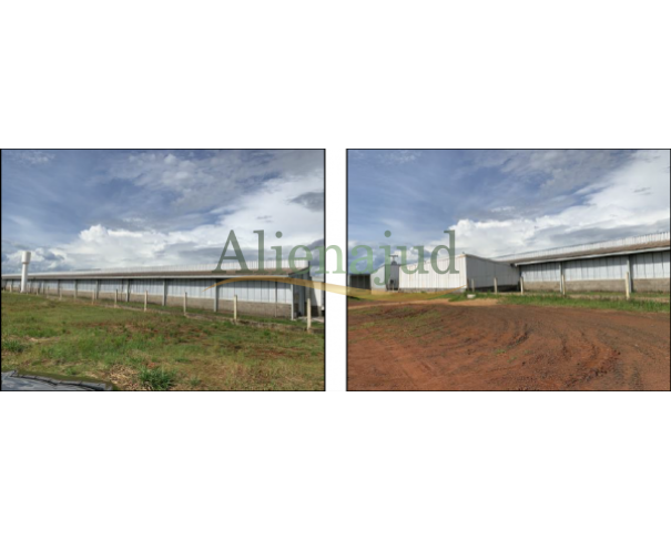 Foto de Uma propriedade rural com área de 43,0494 hectares situado em Uberaba/MG