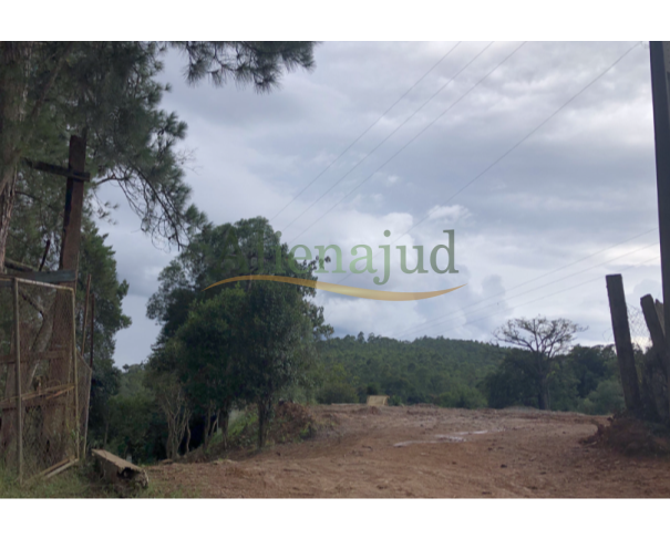 Foto de LOTE 040 - Um terreno c/ 2,24 hectares (0,92 alqueires) - Vila Zanele - Franco da Rocha/SP
