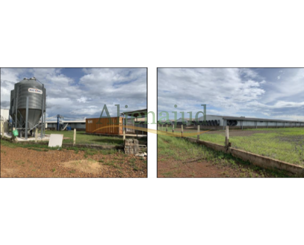 Foto de Uma propriedade rural com área de 43,0494 hectares situado em Uberaba/MG