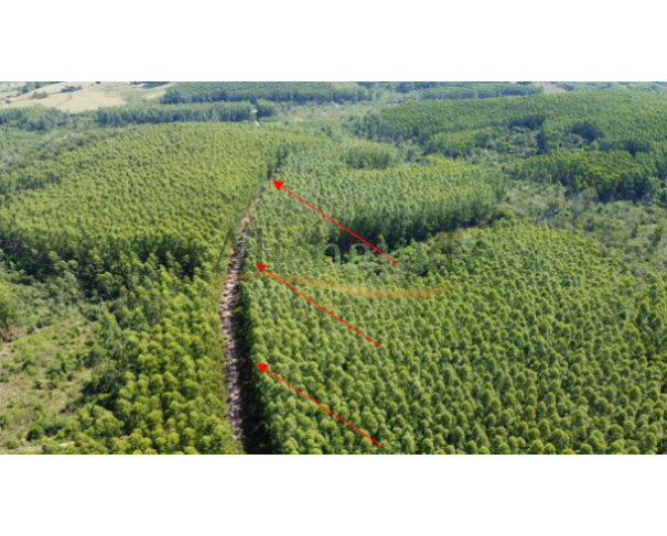 Foto de Uma área de terras com 500.000,00m² situado em Bom Retiro do Sul/RS
