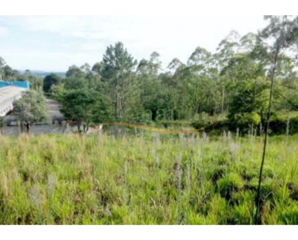 Foto de Caucaia do Alto - Cotia/SP