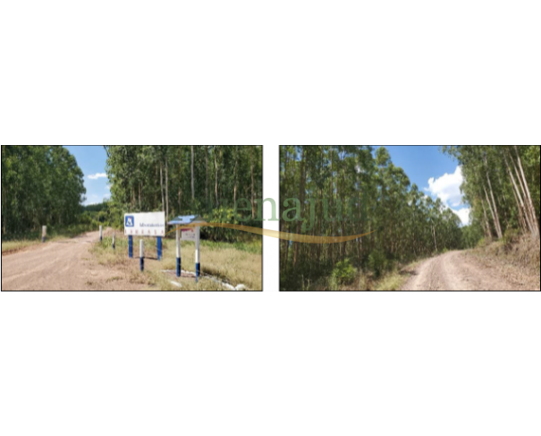 Foto de Uma área de terras com 500.000,00m² situado em Bom Retiro do Sul/RS