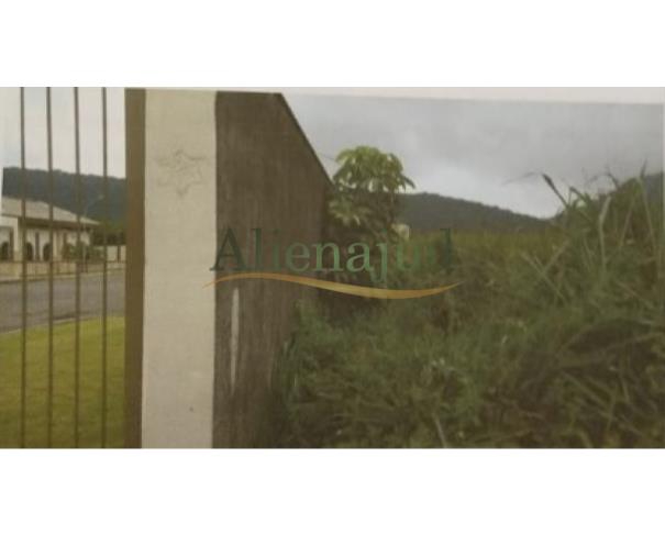 Foto de Área de 10.000m² situado na Fazenda Vargem Grande - Morrinhos - Guarujá/SP