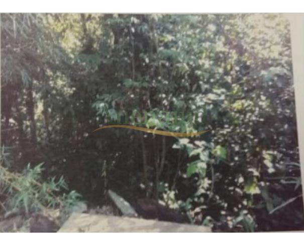 Foto de Terreno c/ área de 1.200m² situado a Rodovia Guarujá-Bertioga Km 17,5 - Iporanga - Guarujá/SP