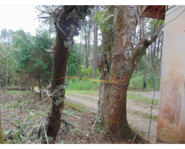 Foto de DEZESSETE LOTES DE TERRENOS - Lotes distintos formando um só c/ 41.095m² (4.10,95 hectares)