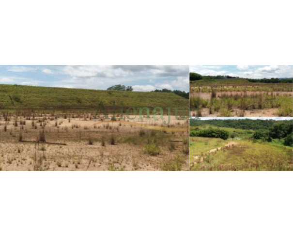 Foto de METADE IDEAL - Terreno c/ 30,32 hectares - Fazenda Padima - Botujuru - Mogi das Cruzes/SP