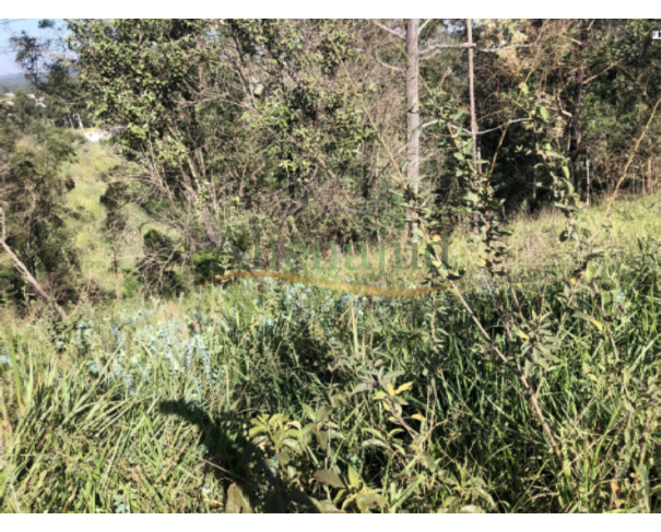 Foto de LOTE 053 - Uma gleba de terras c/ 20.548m² - Borda da Mata - Franco da Rocha/SP