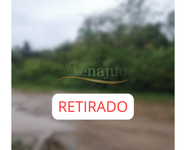 Foto de Terreno coberto por vegetação c/ 388m²  - Praia Perequê - Guarujá/SP