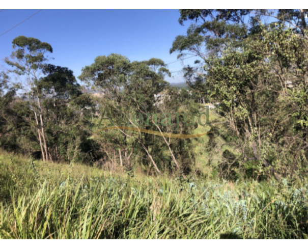 Foto de LOTE 053 - Uma gleba de terras c/ 20.548m² - Borda da Mata - Franco da Rocha/SP