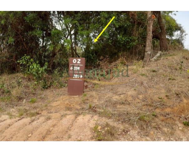 Foto de Pardinho - Botucatu/SP