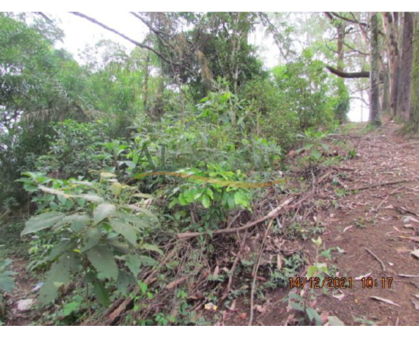 Foto de Batistini - São Bernardo do Campo/SP