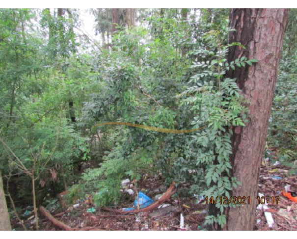 Foto de Batistini - São Bernardo do Campo/SP