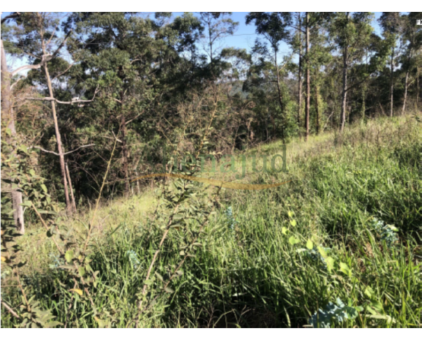 Foto de LOTE 053 - Uma gleba de terras c/ 20.548m² - Borda da Mata - Franco da Rocha/SP