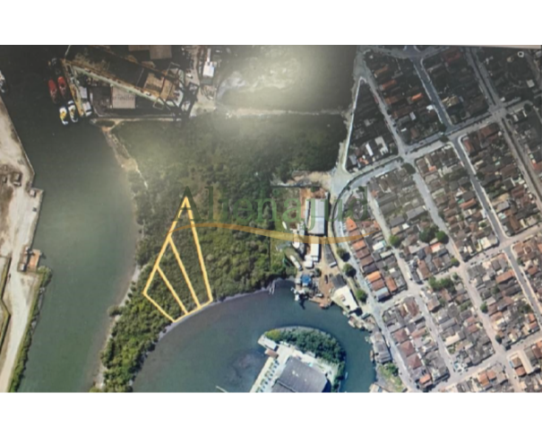 Foto de Três lotes de terreno c/ 2.584m², 1.760m² e 1.519m² - Vila Lygia - Guarujá/SP