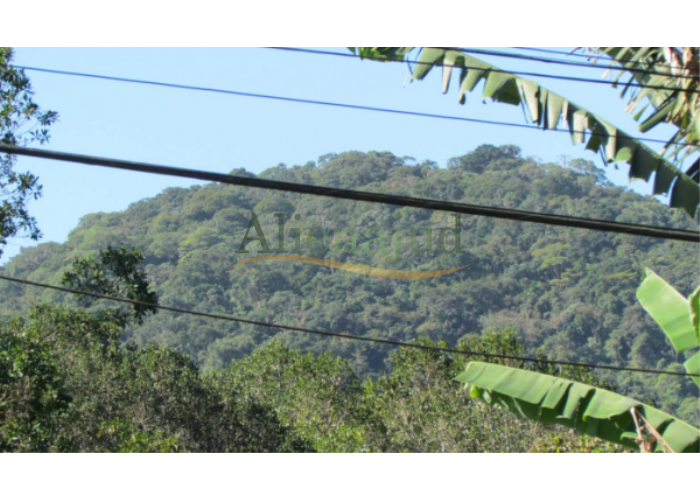 Imagem do imóvel Área situada na Fazenda Perequê com 1.162.250,00m² Área situada na Fazenda Perequê com 1.162.250,00m²