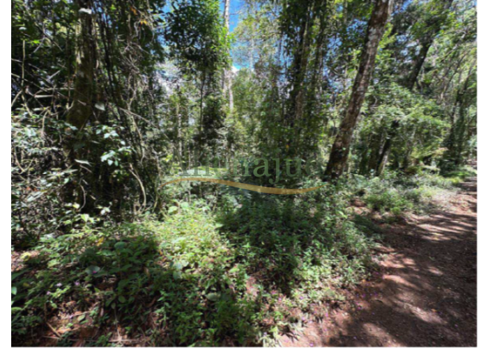 Imagem do imóvel Um terreno com área de 930,00m² em Campos do Jordão Um terreno com área de 930m² em Campos do Jordão e DIREITOS - Apto. c/ área útil de 31,54m² situado á Av. Prestes Maia