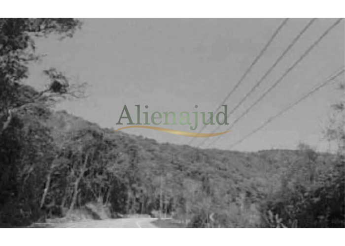 Imagem do imóvel Terras c/ área de 847.500,00m² situadas na Ilha de Santo Amaro Terras c/ área de 847.500,00m² Santo Amaro