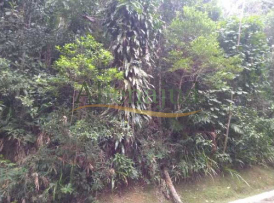 Lote 13 e 14 do loteamento denominado Balneário Prainha Branca c/ área total de 1.715,00m² Lote 13 e 14 do loteamento denominado Balneário Prainha Branca c/ área total de 1.715,00m², localizado em Guarujá - SP
