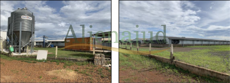 Uma propriedade rural com área de 19,3971 hectares situado à Propriedades rurais em MG e uma área no RS, localizado em Uberaba - MG