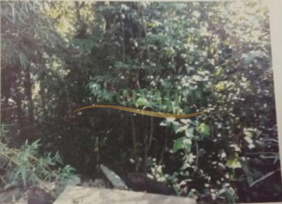 Terreno c/ área de 1.200m² situado a Rodovia Guarujá-Bertioga Km 17,5 - Iporanga - Guarujá/SP