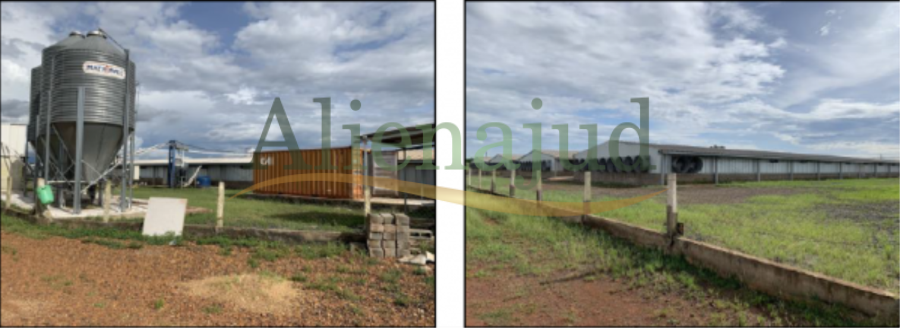 Uma propriedade rural com área de 19,3971 hectares Propriedades rurais de 19,3971 e 43,0494 hec. - Uberaba/MG, localizado em Uberaba - MG